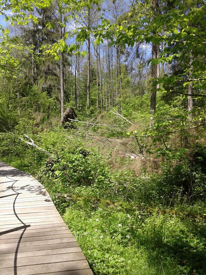 Gasthaus Cztery Pory Roku Białowieża Exterior foto