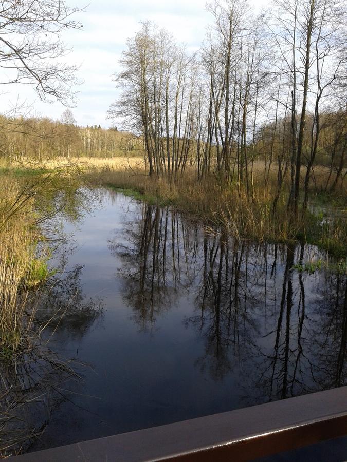 Gasthaus Cztery Pory Roku Białowieża Exterior foto